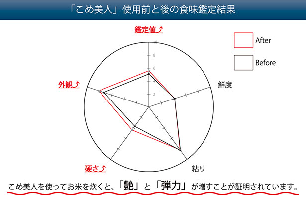 鑑定結果