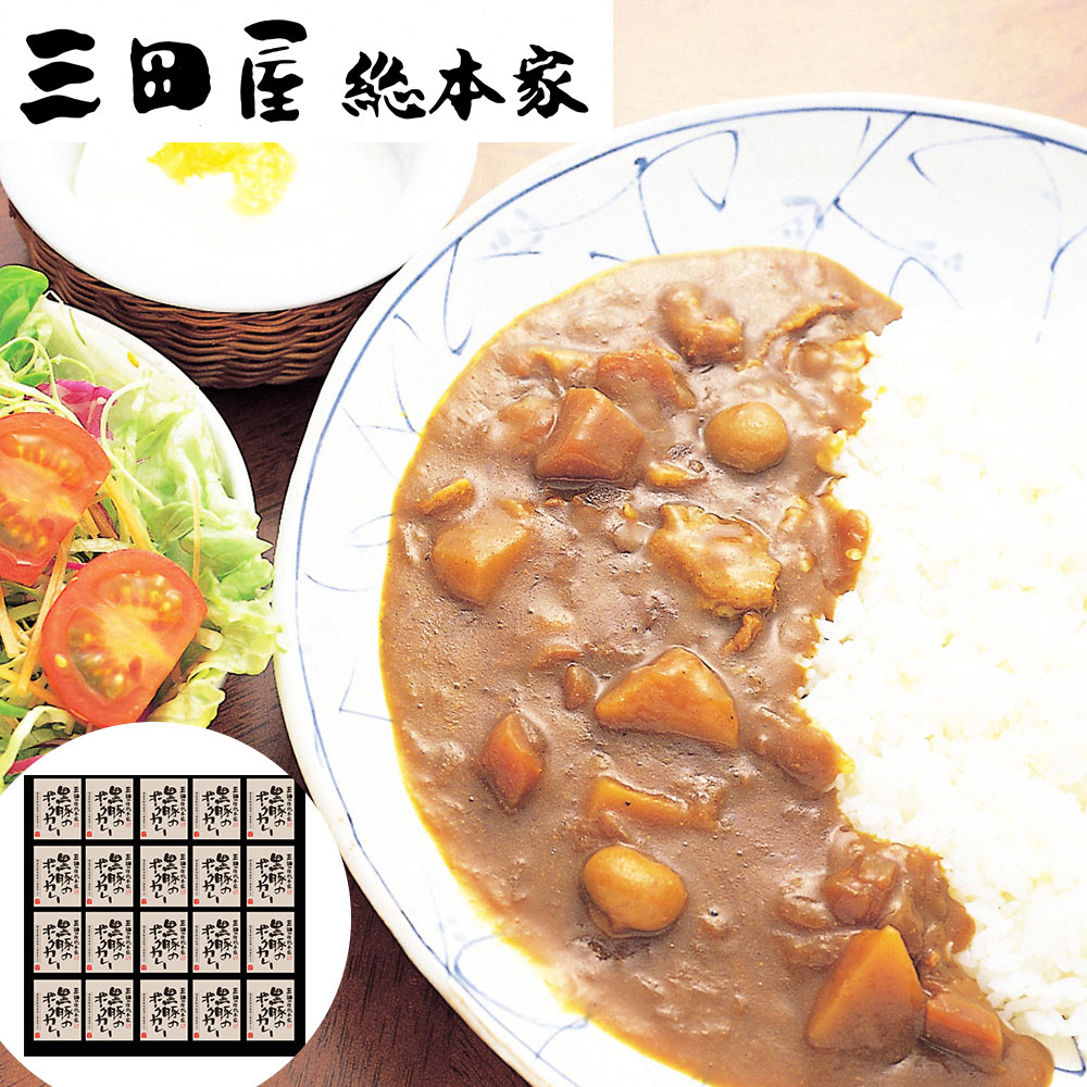 20食　黒豚のポークカレー　三田屋総本家　特産品・食品のネット卸・仕入れはシイレル