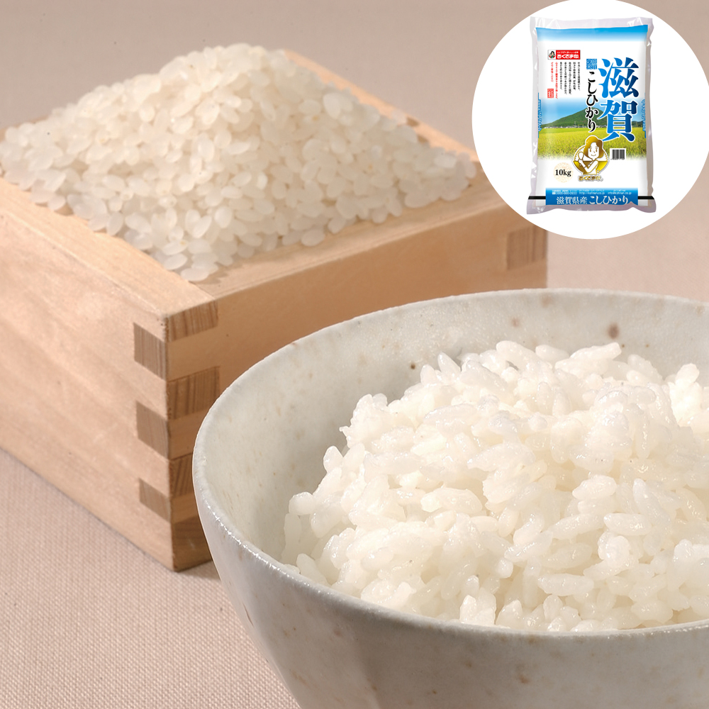 滋賀県産　10kg　特産品・食品のネット卸・仕入れはシイレル　こしひかり　米