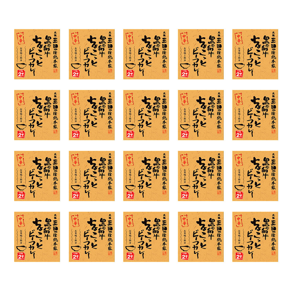 黒毛和牛ちょこっとビーフカレー中辛(計40食）　三田屋総本家　特産品・食品のネット卸・仕入れはシイレル
