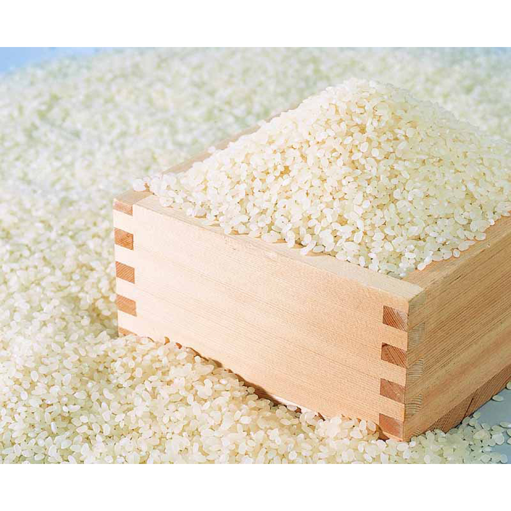 滋賀県産　10kg　特産品・食品のネット卸・仕入れはシイレル　こしひかり　米