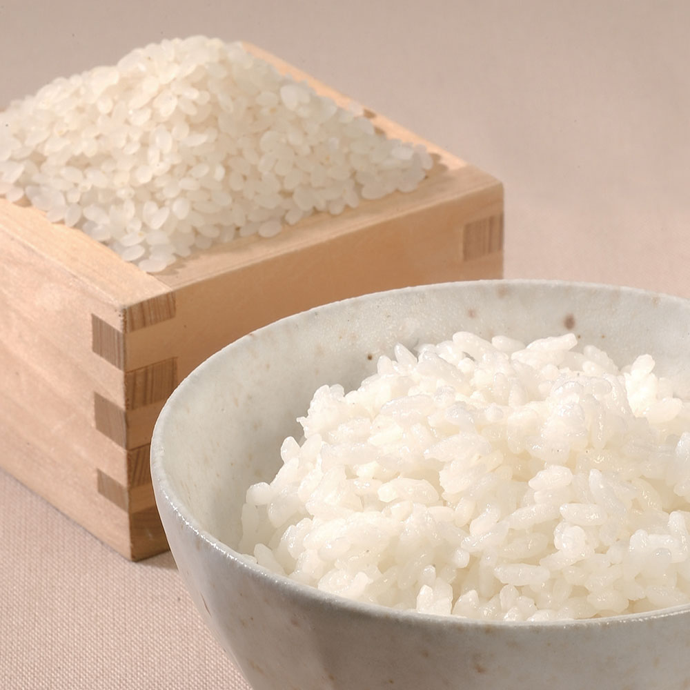 新潟県産　2.5kg　特別栽培米こしひかり　特産品・食品のネット卸・仕入れはシイレル