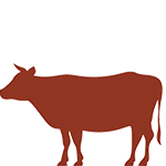 牛肉ピックアップ商品
