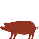 豚肉ピックアップ商品