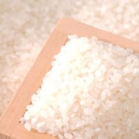 全国話題の銘柄米10種食べ比べセット