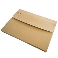 イヌリンのちから「菊芋の粒」【ネコポス発送】