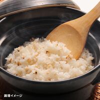 無塩・油不使用 白肌はとむぎ 100g 2袋 詰め合わせ セット【ネコポス発送】
