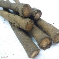 九州産 菊芋とごぼうの混合茶【ネコポス発送】