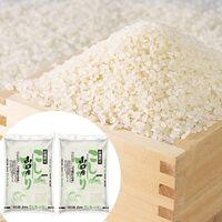 【倉入れ】 山口 雪蔵仕込 コシヒカリ (ケース入数：8,ロット：1)