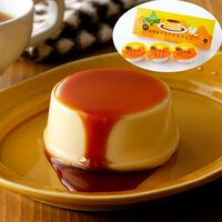 【倉入れ】 「北辰フーズ」北海道プレミアムプリン (ケース入数：12,ロット：2)