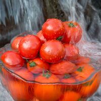 まいひめ物語トマトジュース