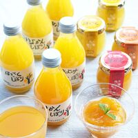 和歌山 伊藤農園 柑橘ジュース＆寒天ジュレセット