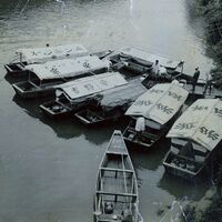 冷凍 炙りしめ鯖ずしと金目鯛押ずし　５４０ｇ