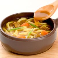 香川 お徳用 瀬戸内讃岐工房 讃岐カレーうどん