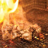 熊本 大阿蘇どり 焼肉 B