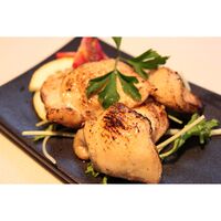 鳥取 大山どり 焼肉用