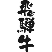 岐阜 飛騨牛ビーフカレー B