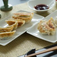 栃木 宇都宮餃子「さつき」 4種の餃子味わいセット