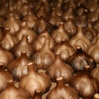 青森産 熟成黒にんにく Mサイズ×6個