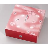 富山湾の幸おかき