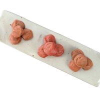 和歌山 紀州南高梅 つぶれ梅 A