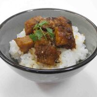 徳島 「吟月」 はも丼