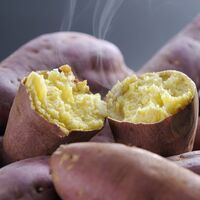 熊本 「芋屋長兵衛」 お芋の便り