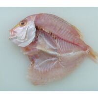 山口 連子鯛 一夜干し