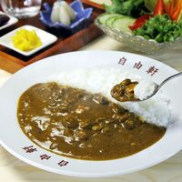 大阪 「自由軒」 昔ながらの黒ラベルカレー 10個セット