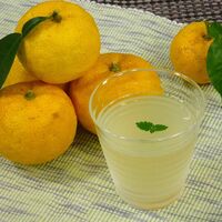 高知 ゆずドリンク