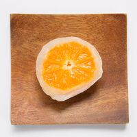 岐阜「新杵堂」 まるごとみかん大福