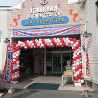 静岡 まぐろの生ハム（15袋）