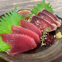 静岡 一本釣り鰹尽くし