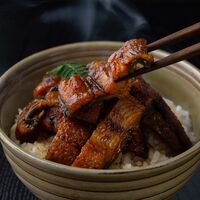 九州産鰻　備長炭焼き　刻みうなぎ 100g×4