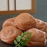 和歌山　紀州南高梅　つぶれ梅　はちみつ 4kg（500g×8）※塩分6%