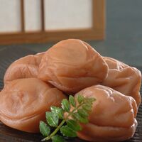 和歌山　紀州南高つぶれ梅