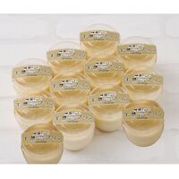 北海道　十勝プリン A