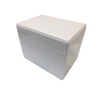 栃木　レモン牛乳カップアイス