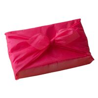 「梅守本店」　季節の手鞠わさび葉寿し