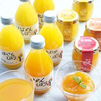 【倉入れ】 和歌山 「伊藤農園」 柑橘ジュース＆寒天ジュレセット (ケース入数：4,ロット：2)