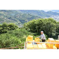 【倉入れ】 和歌山 「伊藤農園」 4種の柑橘ジュース (ケース入数：4,ロット：2)