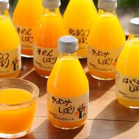 【倉入れ】 和歌山 「伊藤農園」 4種の柑橘ジュース (ケース入数：4,ロット：2)