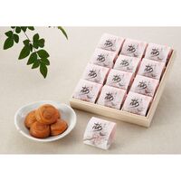 【倉入れ】 和歌山 紀州南高梅 梅満開 240g (ケース入数：10,ロット：2)