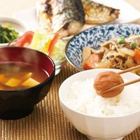 【倉入れ】 和歌山 紀州南高梅 梅満開 240g (ケース入数：10,ロット：2)