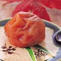 【倉入れ】 和歌山 紀州南高梅 梅満開 (ケース入数：12,ロット：4)