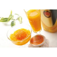 【倉入れ】 「銀座千疋屋」 マンゴードリンク＆まるごとみかんぜりぃ (ケース入数：4,ロット：1)