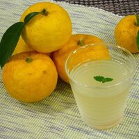 【倉入れ】 高知　ゆずドリンク (ケース入数：12,ロット：6)