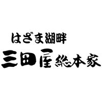 【倉入れ】 三田屋総本家　黒豚のポークカレー(1食） (ケース入数：20,ロット：3)