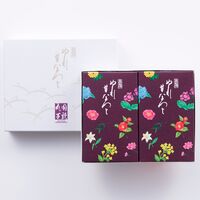 【倉入れ】 東京・新宿「花園万頭」ぬれ甘なつと小箱(2個入) (ケース入数：24,ロット：1)