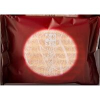 【倉入れ】 東京・新宿「花園万頭」花園煎餅（小倉クリーム） (ケース入数：160,ロット：1)